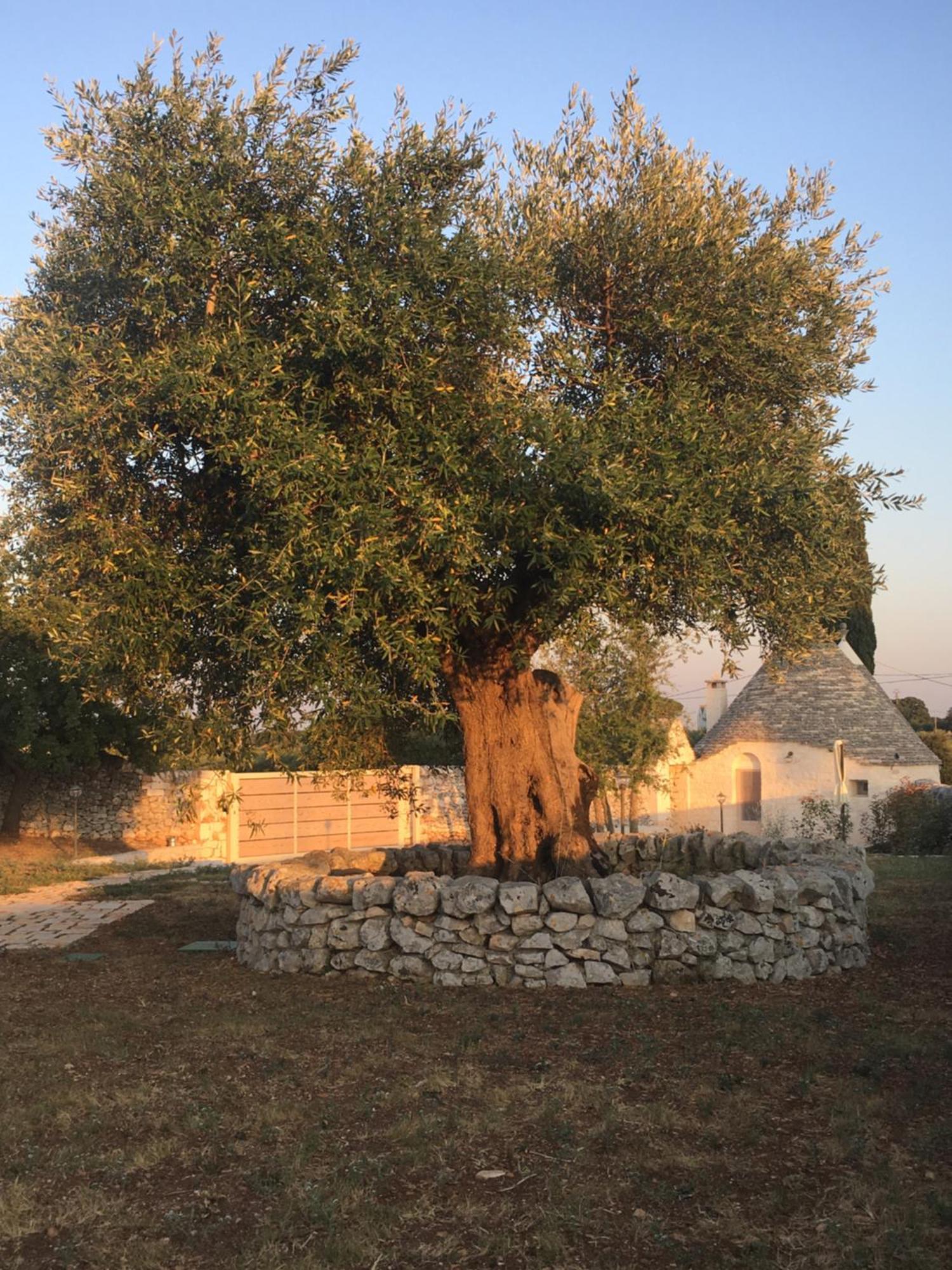 Trulli Le 2 Nicchie Holiday home Locorotondo